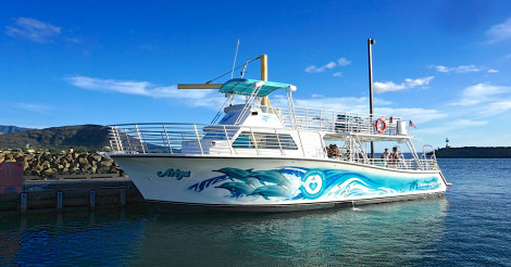 ハワイで大人気！ドルフィン＆ユーの最新型ツアーボートで野生イルカを見に行こう！ | ALOHA GIRL