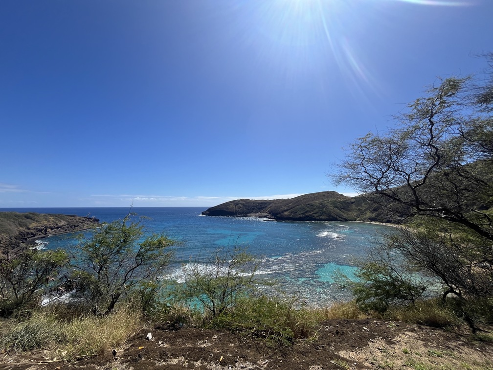 ハナウマ湾の魅力と予約方法を大解説！ハワイローカル男子も大絶賛のベストビーチ | ALOHA GIRL