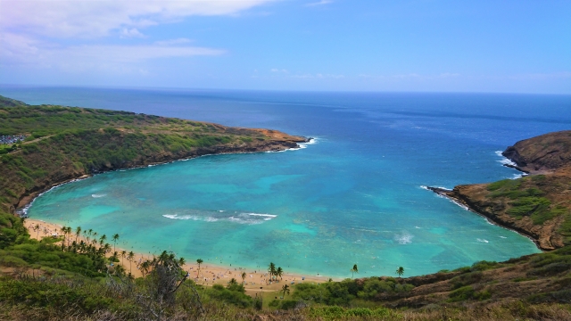 ハナウマ湾の魅力と予約方法を大解説！ハワイローカル男子も大絶賛のベストビーチ | ALOHA GIRL