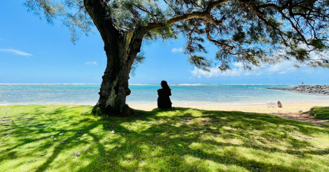 ハワイ移住を叶えた起業家が無料公開！「夢しか実現しない生き方」の原理原則 | ALOHA GIRL