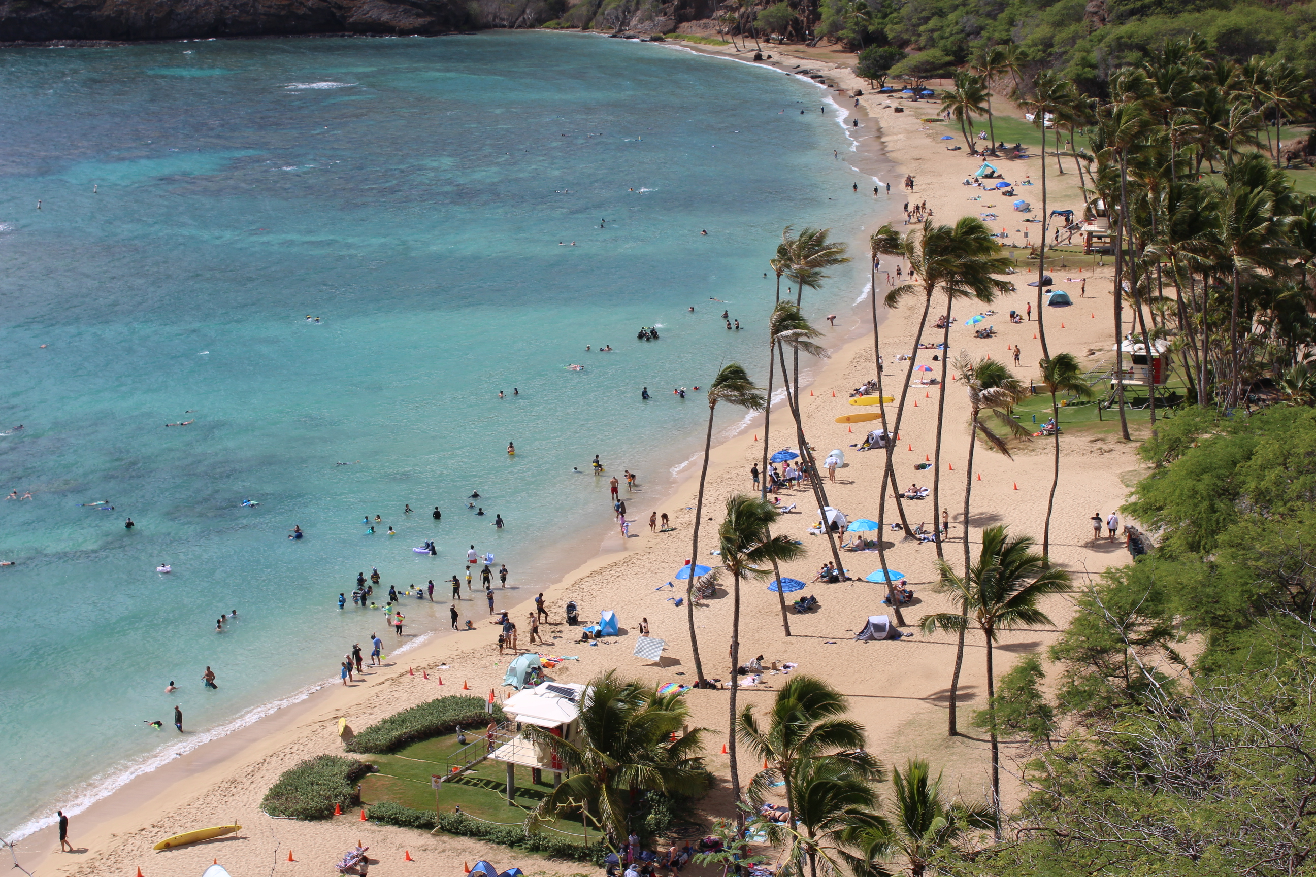 ハナウマ湾入場券+ワイキキ往復送迎プラン |