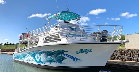ドルフィン＆ユー野生のイルカと泳ぐツアーのボートが新しくなりました！ | ALOHA GIRL