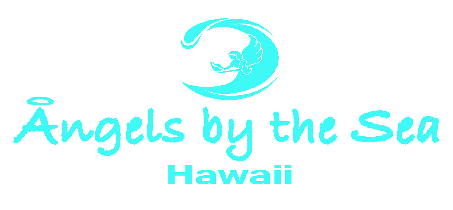 Angels by the Sea Hawaiil HP SALE 50% OFF